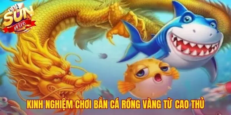 Bắn Cá Rồng Vàng SUNWIN | Hướng Dẫn Săn Boss Thưởng X500 2 Chiến thuật săn boss hiệu quả trong bắn cá Rồng Vàng SUNWIN